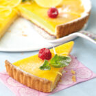 TARTE CITRON 10P